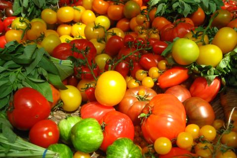 Тонкая нарезка томатов позволила сформировать устойчивые розочки — кулинары