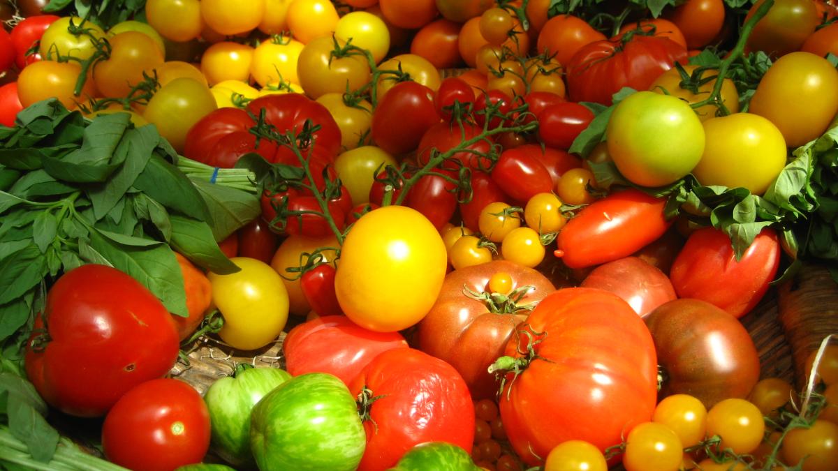 Томаты, помидоры