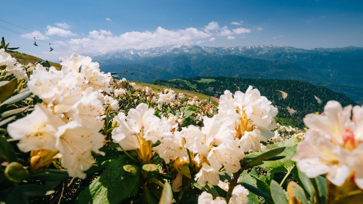 Пейзаж одной из туристических троп курорта Роза Хутор Пейзаж одной из туристических троп курорта Роза Хутор