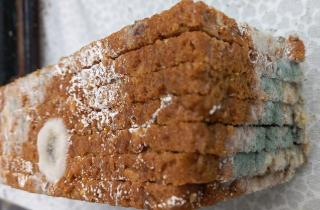 Школьный хлеб с сюрпризом: власти Камчатки проводят срочную экспертизу партии