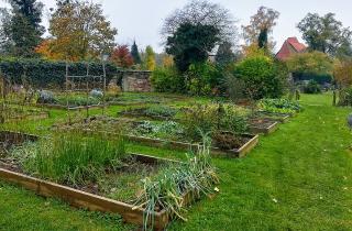 Доломитовая мука хорошо снижает кислотность почвы — агрономы