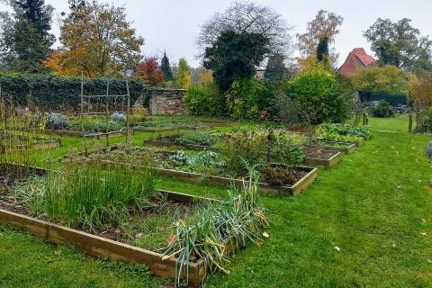 Доломитовая мука хорошо снижает кислотность почвы — агрономы