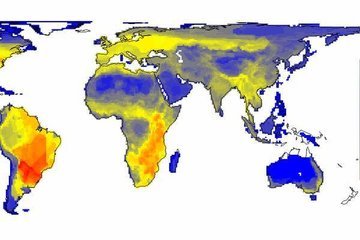 Распределение видов на Земле становится все более однородным
