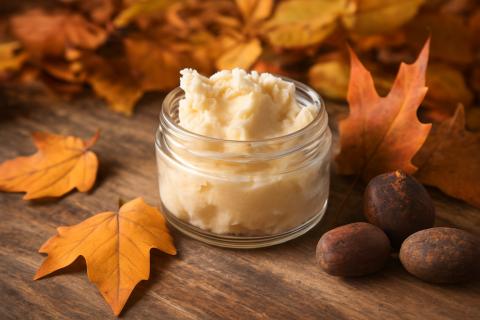 Масло ши повысило мягкость и эластичность кожи тела — дерматологи