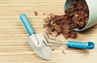 Ползучий тимьян хуже зимует под мульчей — агрономы