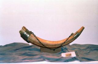 В Англии обнаружили кельтский боевой рог возрастом 2000 лет — Historic England