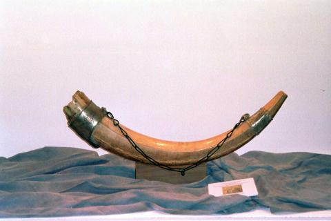 В Англии обнаружили кельтский боевой рог возрастом 2000 лет — Historic England