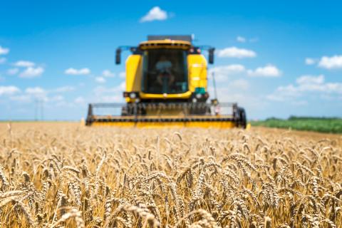 Ставка на покупку сельхозтехники снижается до 8%. Что изменится для фермеров, зачем Минсельхоз идёт на этот шаг и кто получит выгоду уже в этом сезоне?