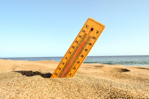 Июльская жара в Петрозаводске: температура в квартирах превышает +30 °C с утра