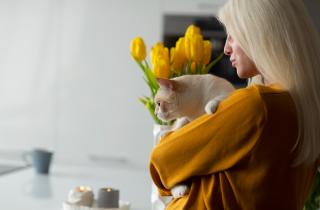 Кошка тянется к букету: эти виды цветов смертельно опасны для питомца