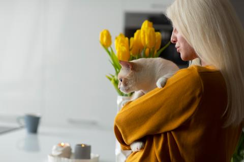 Кошка тянется к букету: эти виды цветов смертельно опасны для питомца