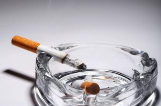 Токсичный фильтрат окурков снижает выживаемость водных видов — учёные