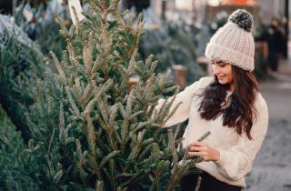 В MSU выявили кипарис с защитой от грибковых болезней — Университет Миссисипи