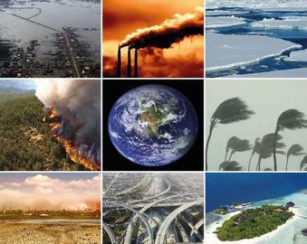 Теория экологического заговора: кому выгодны 