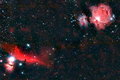 Туманности, названные в честь животных Туманности, названные в честь животных