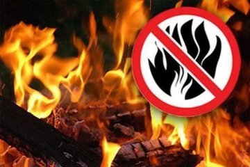 Особый противопожарный режим был отменен в Воронеже