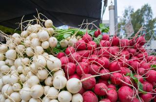 Редис остановил стрелкование при посадке рядом с салатом — Белновости