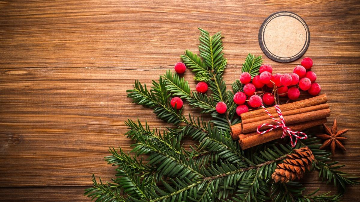 Еловая века, шишка, палочки корицы и ягоды