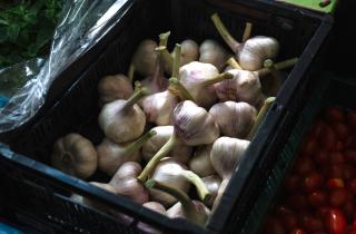 Чеснок уменьшился на треть при выращивании на одном месте — агрономы