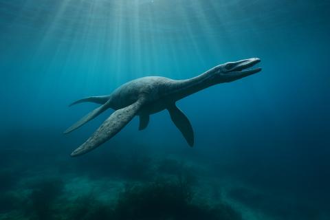 Не астероид, а океан: учёные раскрыли настоящего виновника похолодания эпохи динозавров