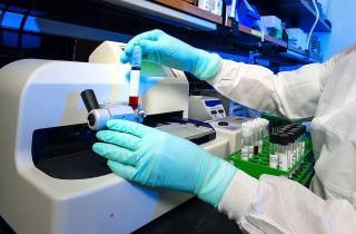 Технологии геномной модификации набирают популярность