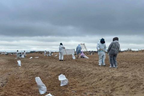 Эксперт рассказал о возможных последствиях отдыха на загрязнённых мазутом пляжах