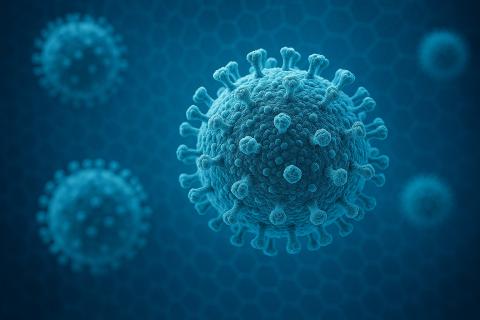 Эфиопия подтвердила вспышку вируса Марбург