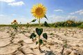 Люди из бедных слоев населения меньше всех могут адаптироваться к изменению климата Люди из бедных слоев населения меньше всех могут адаптироваться к изменению климата