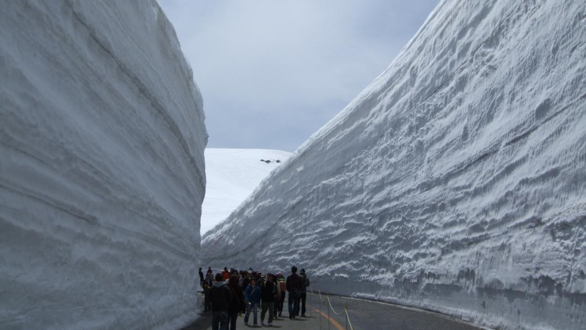 Tateyama Snow Corridor