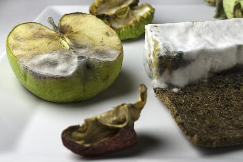 Плесень на сухофруктах опасна — токсиколог