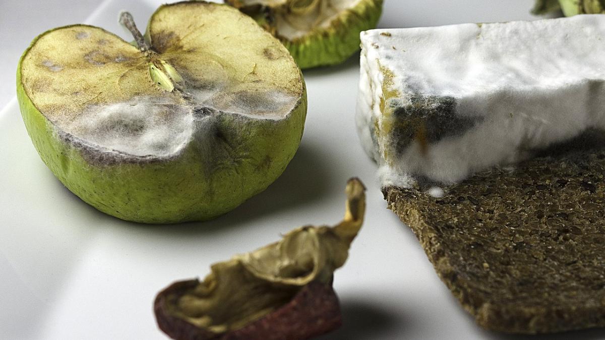 Продукты с плесенью