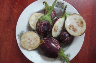 Баклажан хорошо хранится зимой — фермеры