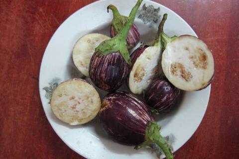 Баклажан хорошо хранится зимой — фермеры