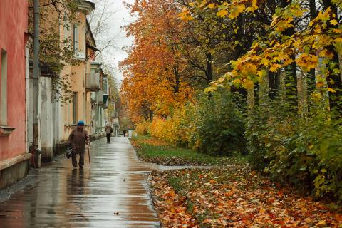 Как использовать музыку и дождь для создания уникального стиля в вашем доме?