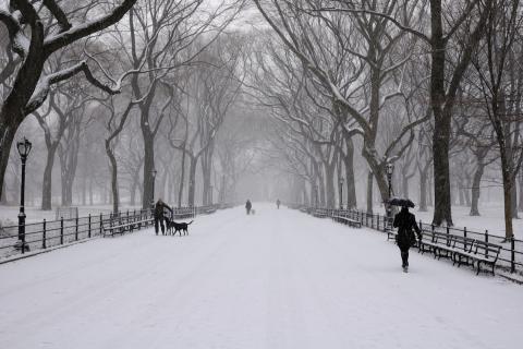 Как запечатлеть зимнюю магию: лучшие места для фото