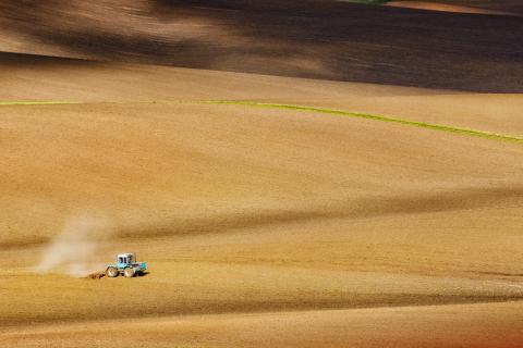 Зарплаты трактористов в России достигли 300 тысяч рублей — ТАСС