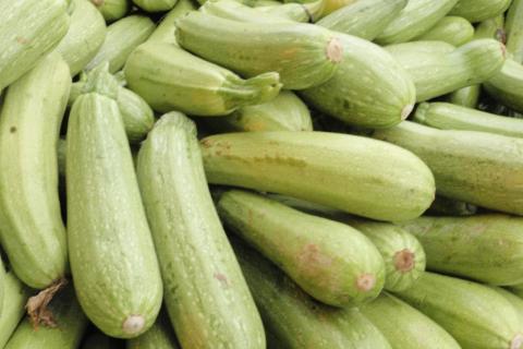 Горох улучшил плодоношение кабачков — Белновости