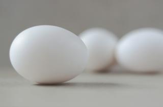 Ловушка на дверце холодильника: почему привычное место хранения убивает свежесть за считаные дни