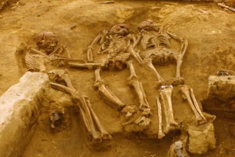 В Дании нашли оружие из человеческих костей возрастом 2000 лет