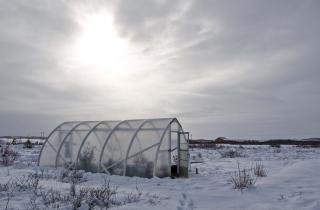 Без электричества и печей: как обогреть теплицу зимой — дёшево и сердито