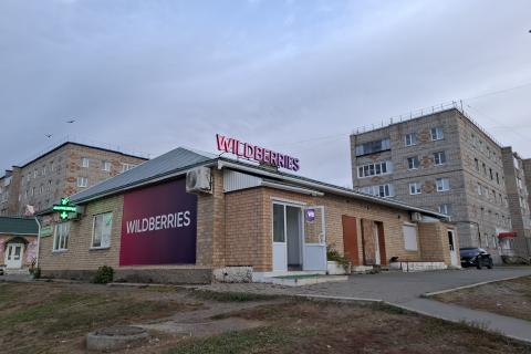 Объём продаж Лабубу на Wildberries превысил 1,5 млрд