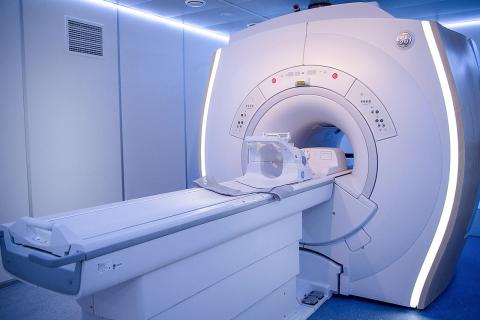 Российские исследователи нашли способ снизить токсичность контрастов МРТ с помощью L-тирозина