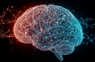 Учёные обнаружили вместилище души: квантовая память может храниться вне тела