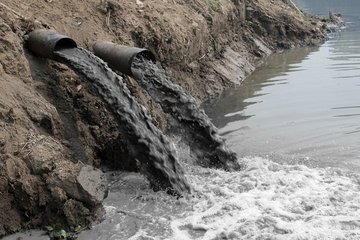 В Тюменской области возбуждено свыше 230 дел об экологических преступлениях
