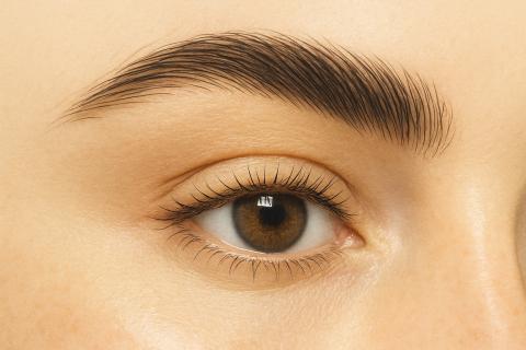 После этой процедуры я перестала пользоваться гелем для бровей: эффект держится неделями