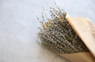 Аромат Прованса под окном: какой весенний ритуал возвращает лаванде пышность