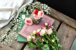 Шесть книг, которые заставят взглянуть на индустрию красоты умнее — и снова влюбиться в неё