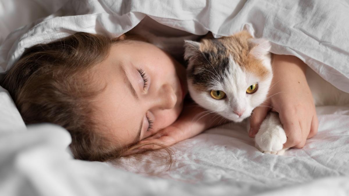 Кошка спит с девушкой Кошка спит с девушкой