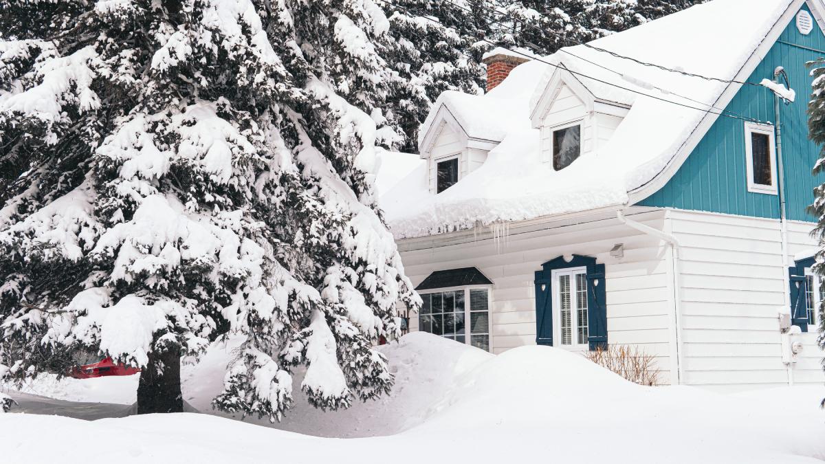 Зимний двор