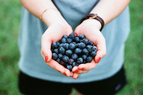 Диетолог Мамина назвала продукты, которые улучшают память и мышление у детей